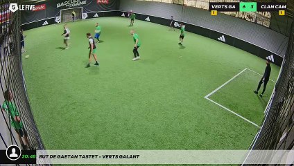 But de gaetan tastet - VERTS GALANT