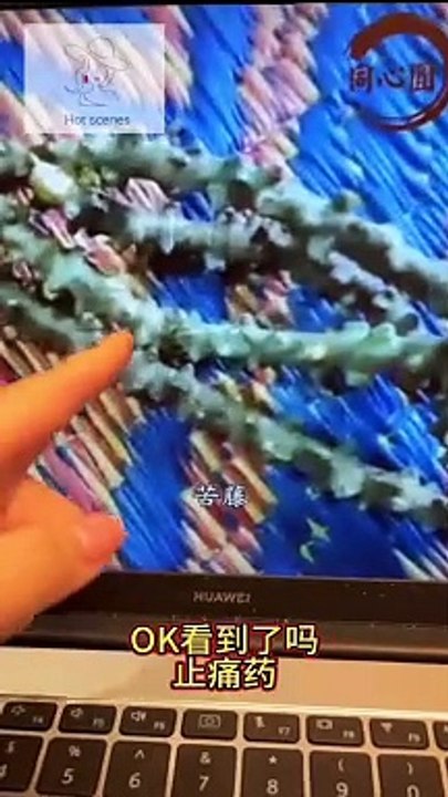 四月暗示某王卖假枣