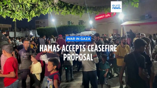 Live: IDF says it begins striking targets in Rafah despite Hamas accepting ceasefire proposal