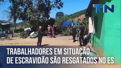 Скачать видео: Trabalhadores em situação de escravidão são resgatados no ES