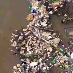 Praia de Salvador amanhece com acúmulo de lixo e sujeira; assista