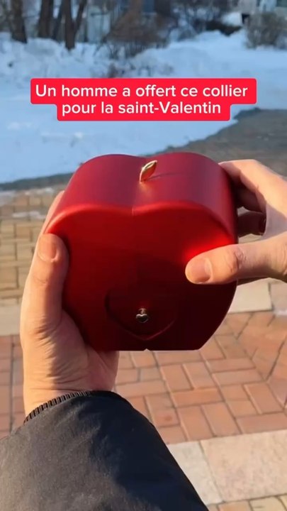 Il a offert ce collier pour la saint valentin !