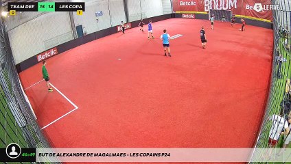 But de alexandre De Magalmaes - les copains P24