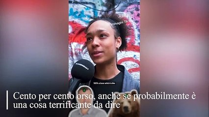 La domanda virale su TikTok: «Se ti trovassi da sola in un bosco, preferiresti imbatterti in un uomo o in un orso?»