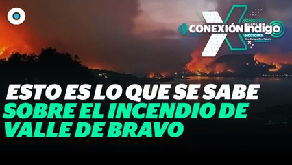 Incendio consume bosque y zona turística de Valle de Bravo | Reporte Indigo