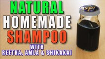 DIY-Natural Homemade Hair Shampoo II घर का बना प्राकृतिक शैम्पू II