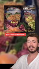 Test cerveau (Exclu Dailymotion)