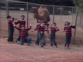 Zoom Season 6 Episode 5 - A Zoom Special “Zoomers At The Zoo” (1977)