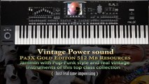 Korg Pa4X-Pa3X Vintage Power in Styles