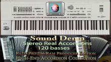 Korg Pa3X Pa2X Pa800 Real Accordions in Producer Editions