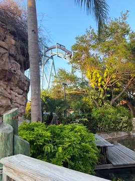 Travel … viagens , lugares , pratos ..