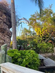 Travel … viagens , lugares , pratos ..