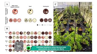 Cientista brasileira utiliza técnica maia para plantio de tomates em Marte