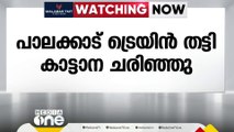 പാലക്കാട് കഞ്ചിക്കോട് ട്രെയിൻ തട്ടി കാട്ടാന ചരിഞ്ഞു