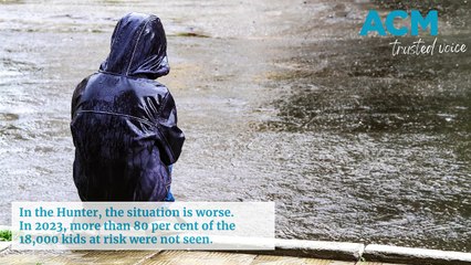 EXPLAINER: Child protection services in crisis | Newcastle Herald, 2024