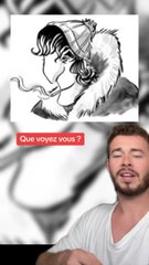 Que voyez vous ? (Exclu Dailymotion)