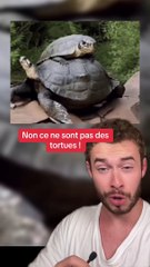 Vous voyez quoi ? (Exclu Dailymotion)