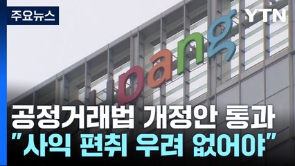 사익 편취 우려 없으면 법인이 동일인...쿠팡, 김범석 아닌 법인이 동일인 지정 전망 / YTN