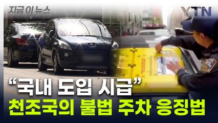 미국서 화제된 불법 주차 차량 창문 가리기 장치, 서울 도입 검토 🚗