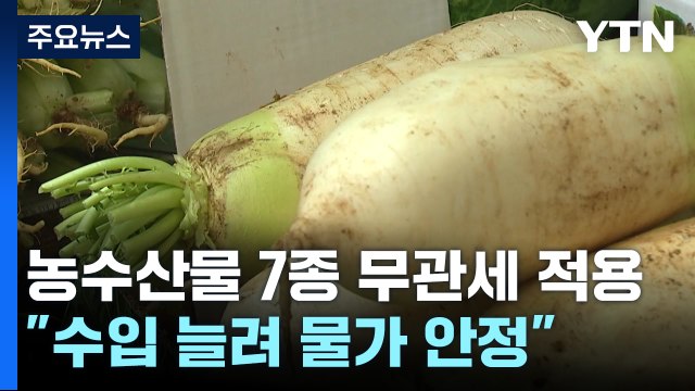 '배추·양배추·마른김' 오늘부터 할당관세... 수입 늘려 물가 안정 / YTN