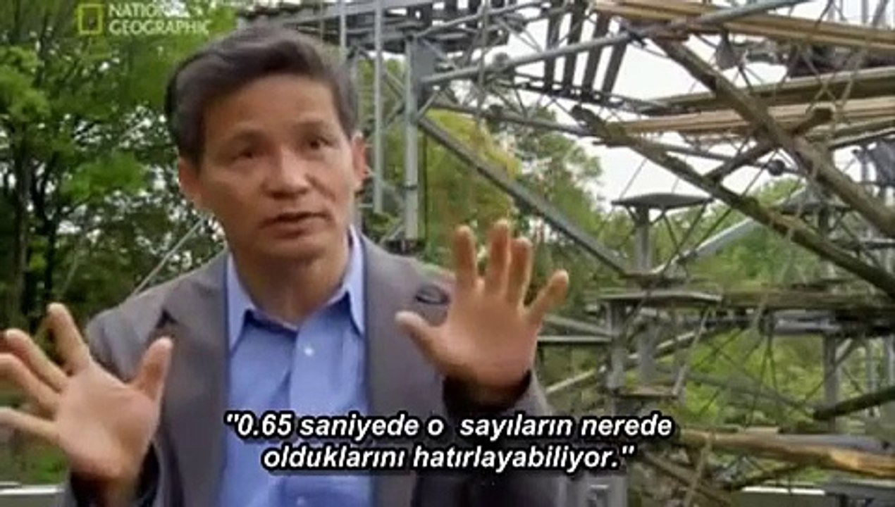 Şempanze Hafıza Testi