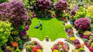 Couple's stunning suburban garden in industrial heartland springs into life