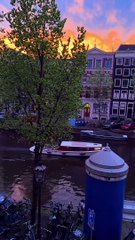 #nature_perfections #nature #natirelovers #natureartist #naturephotography #natureartist #nature_perfections #naturephotography #nature #natirelovers