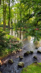 #nature_perfections #nature #natirelovers #natureartist #naturephotography #natureartist #nature_perfections #naturephotography #nature #natirelovers