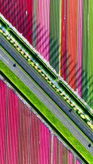 #nature_perfections #nature #natirelovers #natureartist #naturephotography #natureartist #nature_perfections #naturephotography #nature #natirelovers