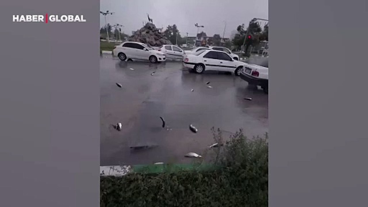 Nadir görülen doğa olayı kamerada: Gökten balık yağdı, gören şaştı kaldı!