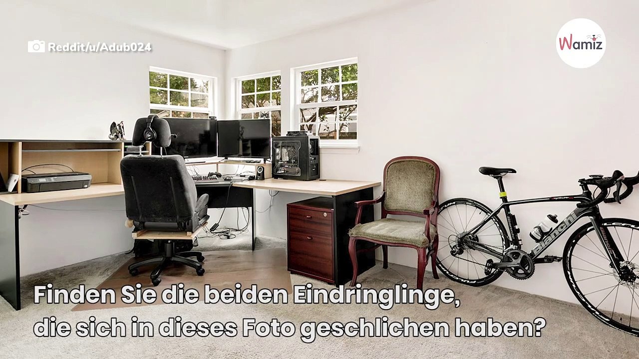 Teste deine Augen: Siehst du die Katze, die sich in der Küche versteckt?