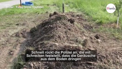 Download Video: Schreie unter der Erde: Polizei beginnt zu schaufeln und erlebt einen Alptraum