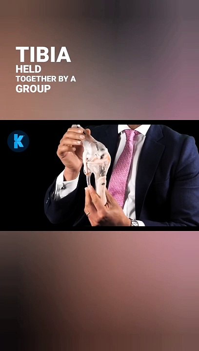 Protecting Your Knee: Understanding the Vital Role of the Meniscus with Mr. Bilal Barkatali