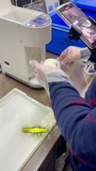 Efficient, fast, beautiful and hygienic sushi rice ball machine