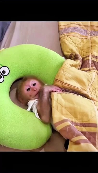 Funny Video For Kids 
