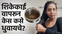 Shampoo विसरा केस धुण्यासाठी शिकेकाई वापरा | Shikakai To Wash Hair | Haircare | Shikakai Powder