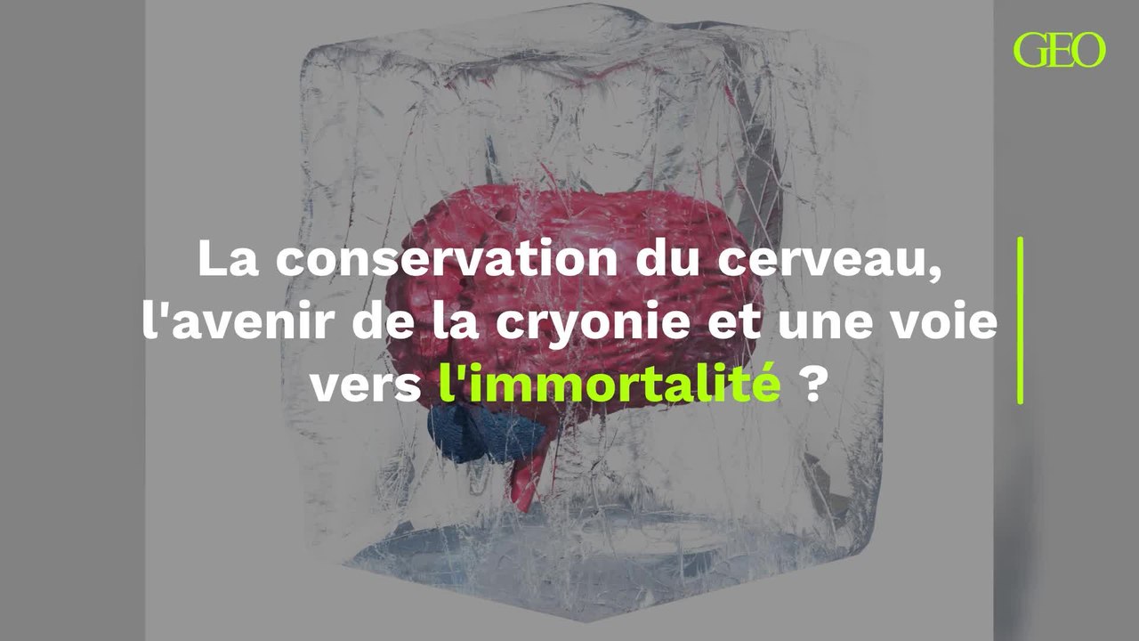 La conservation du cerveau, l'avenir de la cryonie et une voie vers l'immortalité ?