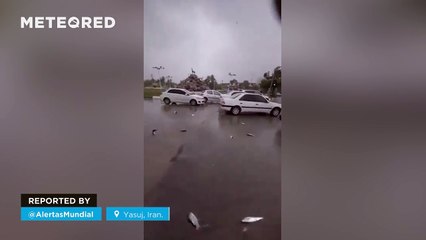 Surprising rain of fish in Yasuj, Iran.