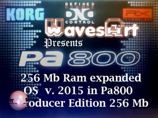 Korg Pa800 Producer Edition 256Mb OS by WavesArt