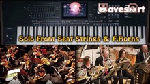 Pa5X Solo Front Strings & F.Horns