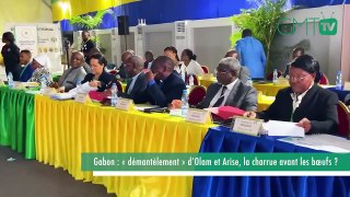 [#Reportage] Gabon : « démantèlement » d’Olam et Arise, la charrue avant les bœufs ?