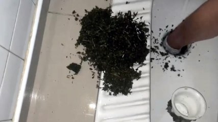 Polis tuvaletten avuç avuç çıkardı 6 tutuklama