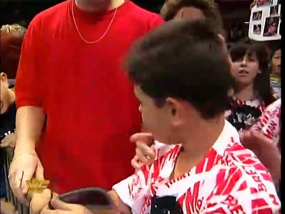 Bret Hart vs. Owen Hart for the WWF Title