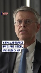 China and France have same vision, says French MP