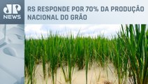 Danos no Rio Grande do Sul podem gerar perdas de até 11% na produção de arroz