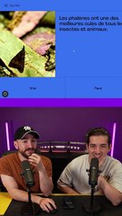 QUIZZ CULTURE G ! Episode 17! (Vidéo exclusive dailymotion)