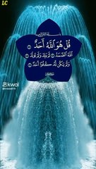 The Holy Quran is the most beautiful sound in the world (4)