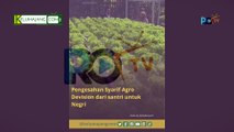Pengesahan Syarif Agro Devision Lumajang