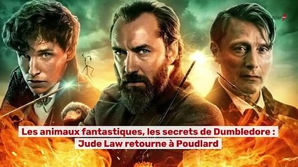Les animaux fantastiques  les secrets de Dumbledore  : Jude Law retourne à  Poudlard