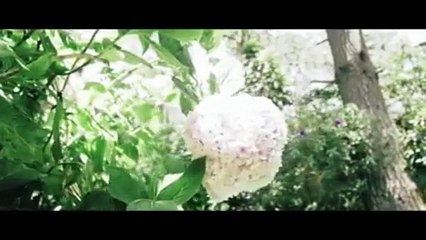 No Hay Lugar Mas Alto